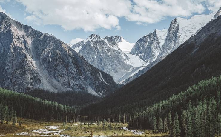 鳳城街道老舊成型機(jī)回收，現(xiàn)狀、挑戰(zhàn)與前景展望——二手成型機(jī)價格探討